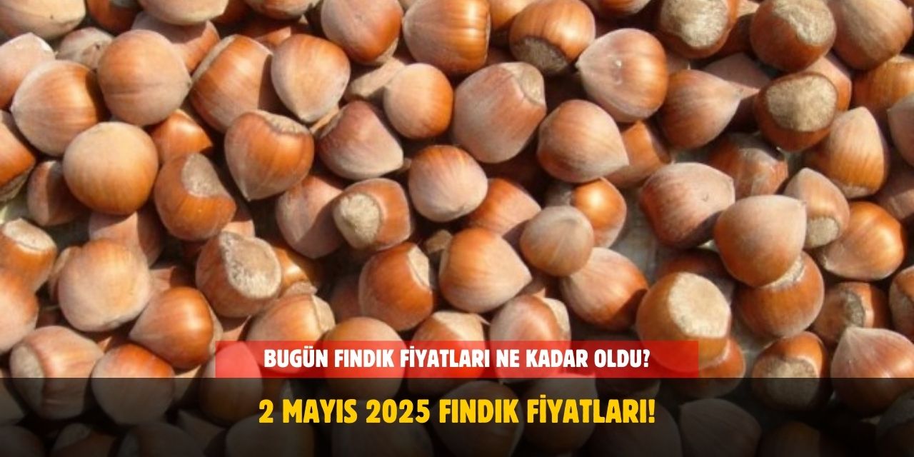 2 Mayıs 2025 Fındık Fiyatları Bugün Ne Kadar Oldu?