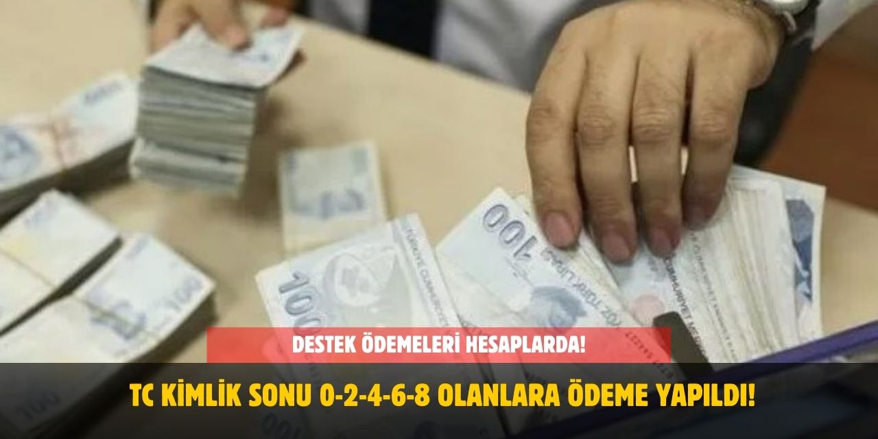 Destek Ödemeleri Hesaplarda! TC Kimlik Sonu 0-2-4-6-8 Olanlara Ödeme Yapıldı