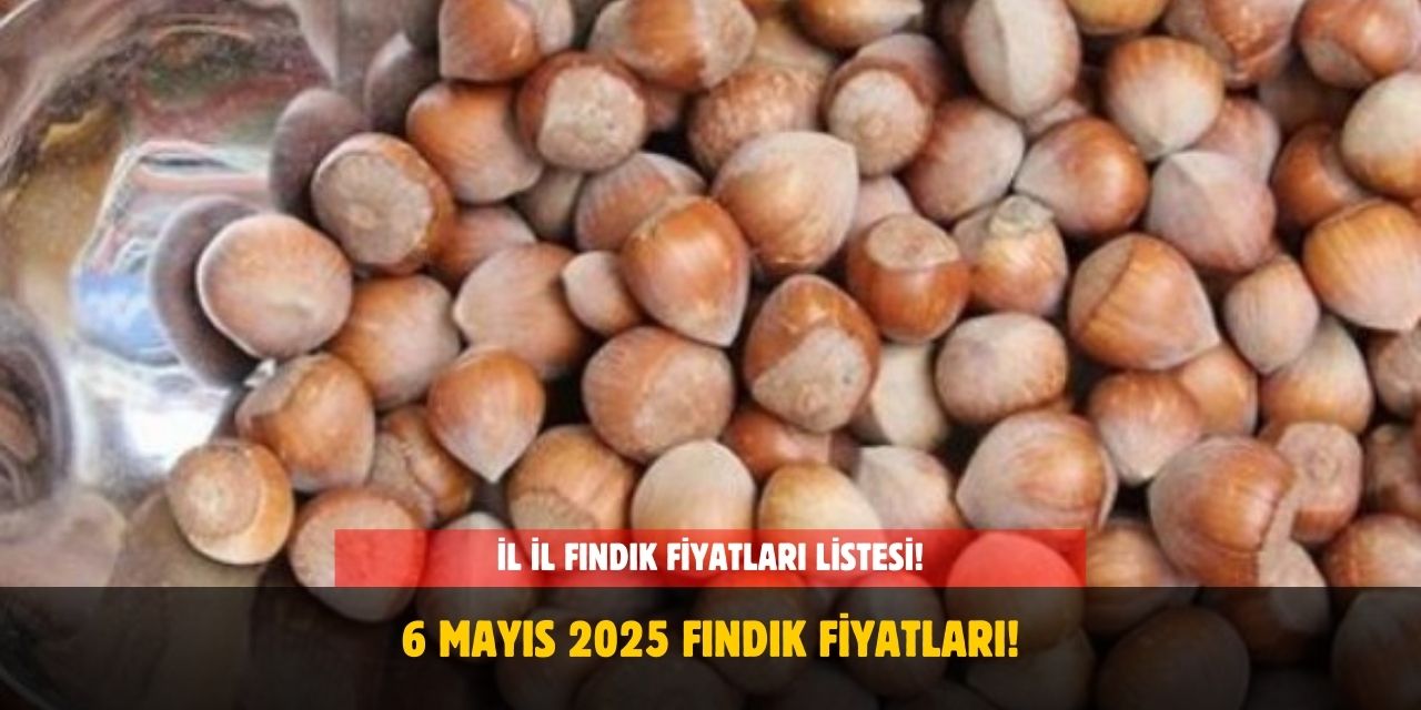 6 Mayıs 2025 Fındık Fiyatları! Bugün Sakarya, Ordu, Giresun, Samsun Gibi Diğer İllerde Fındık Fiyatları Ne Kadar Oldu?
