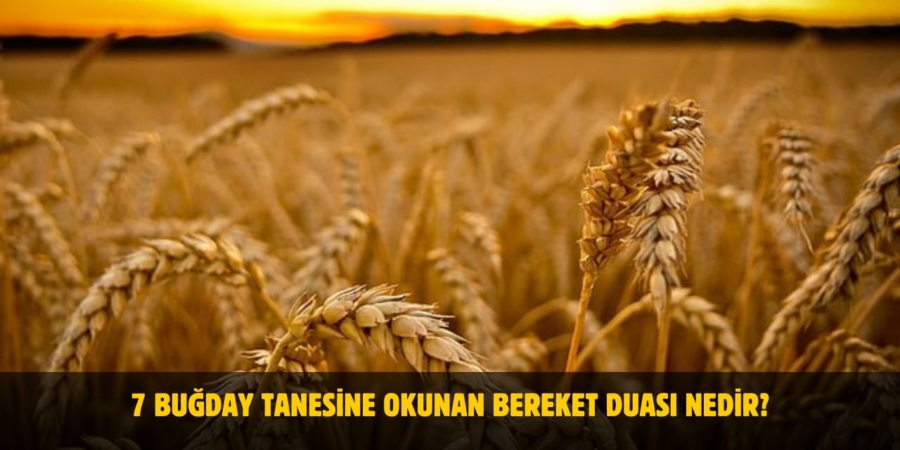 7 Buğday Tanesine Okunan Bereket Duası