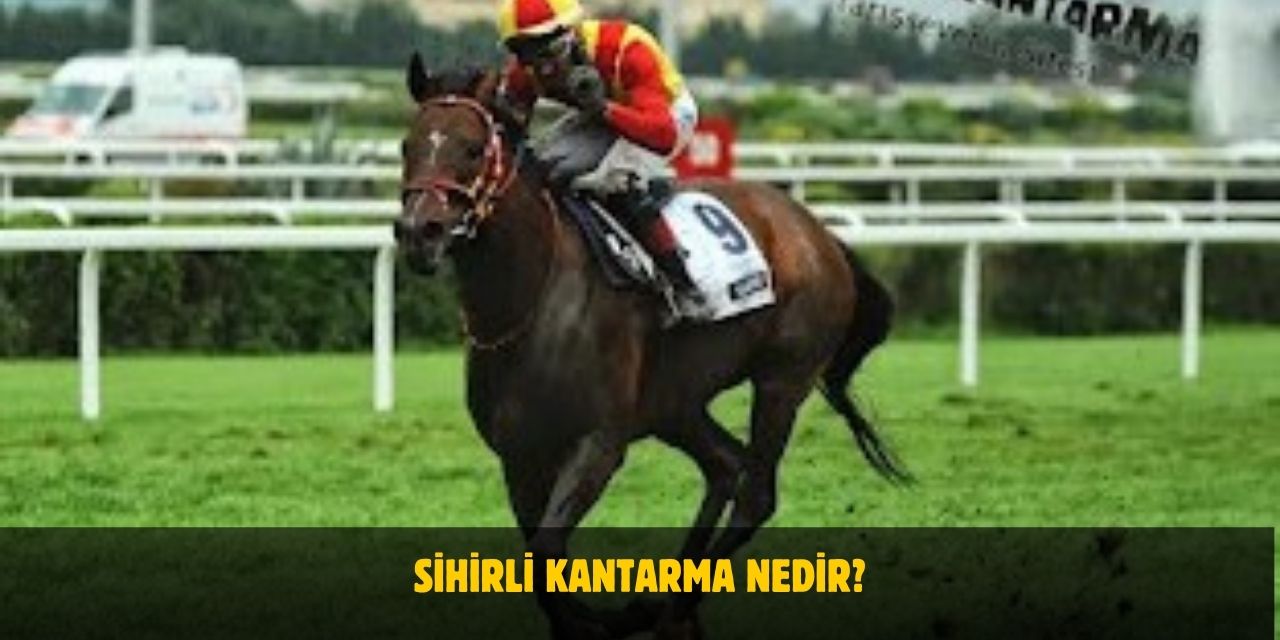 Sihirli Kantarma Nedir? At Yarışı ve Altılı Ganyan Nasıl Oynanır?