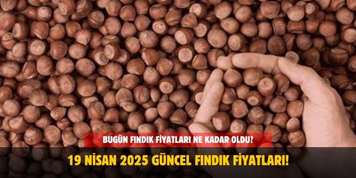 19 Nisan 2025 Güncel Fındık Fiyatları! Sakarya, Ordu, Giresun, Trabzon ve Samsun’da Fiyatlar Ne Kadar?