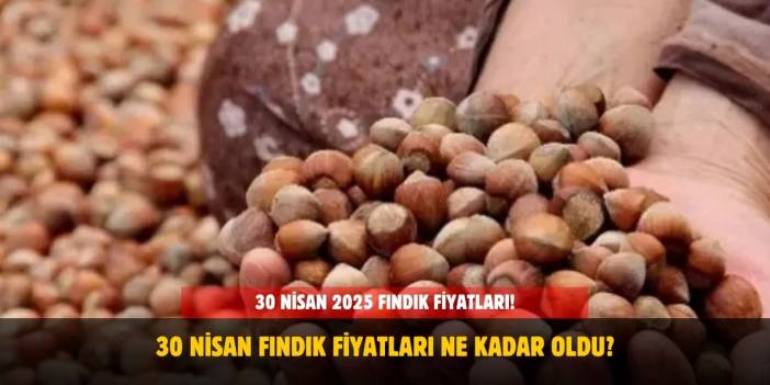 30 Nisan 2025 Fındık Fiyatları! Ordu, Giresun, Sakarya ve Samsun'da Fındık Kaç Lira Oldu?