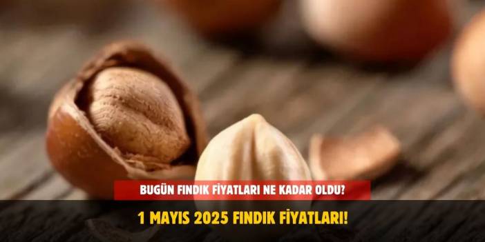 1 Mayıs 2025 Fındık Fiyatları! Ordu, Giresun, Sakarya, Rize ve Samsun'da Fındık Fiyatları