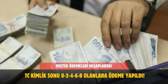 Destek Ödemeleri Hesaplarda! TC Kimlik Sonu 0-2-4-6-8 Olanlara Ödeme Yapıldı