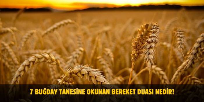 7 Buğday Tanesine Okunan Bereket Duası